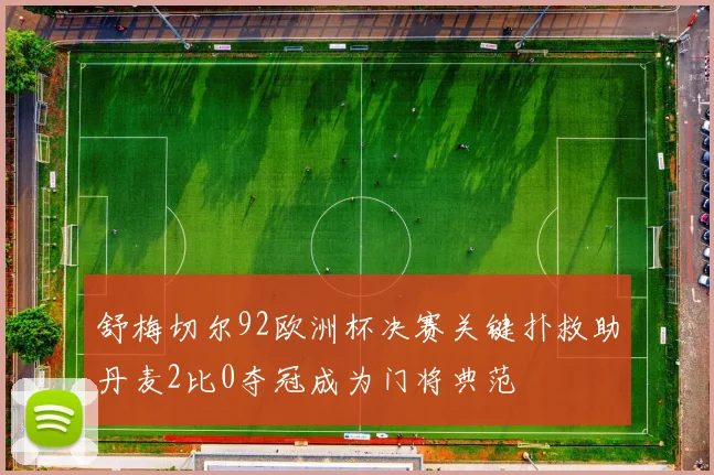 舒梅切尔92欧洲杯决赛关键扑救助丹麦2比0夺冠成为门将典范