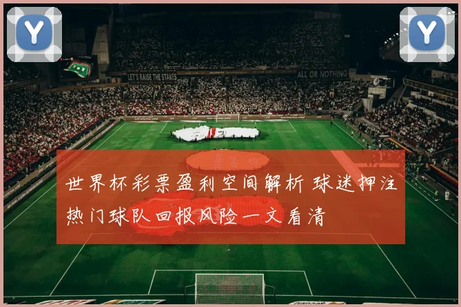世界杯彩票盈利空间解析 球迷押注热门球队回报风险一文看清