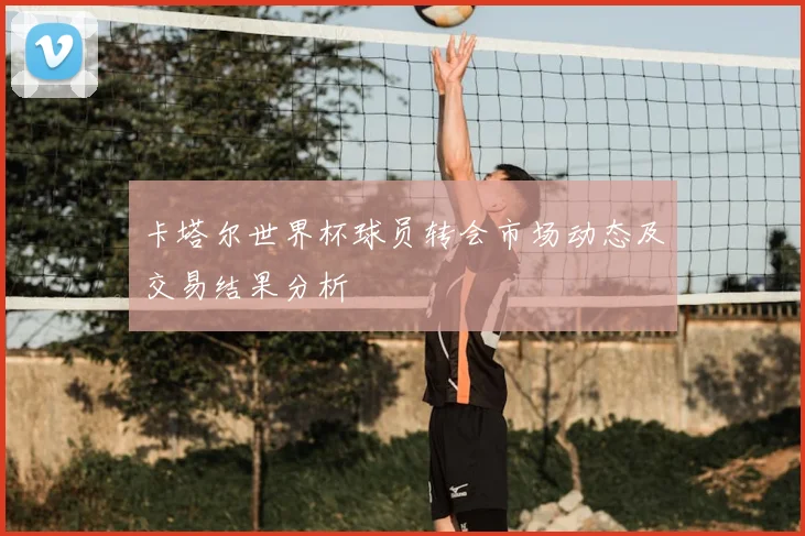 卡塔尔世界杯球员转会市场动态及交易结果分析