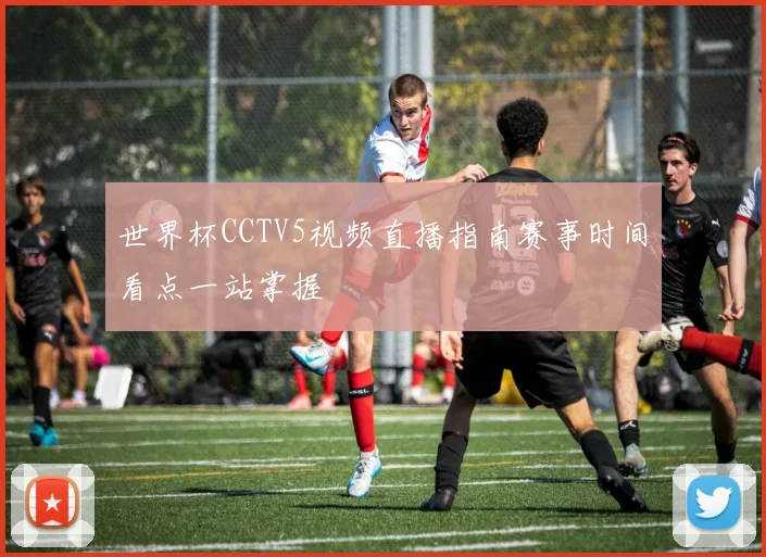 世界杯CCTV5视频直播指南赛事时间看点一站掌握
