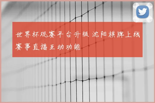 世界杯观赛平台升级 沈阳棋牌上线赛事直播互动功能