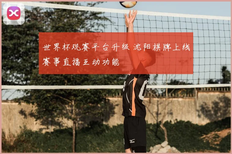 世界杯观赛平台升级 沈阳棋牌上线赛事直播互动功能