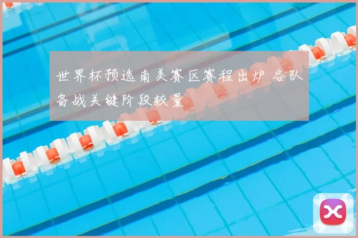世界杯预选南美赛区赛程出炉 各队备战关键阶段较量