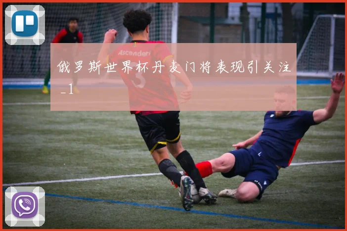 俄罗斯世界杯丹麦门将表现引关注 _1
