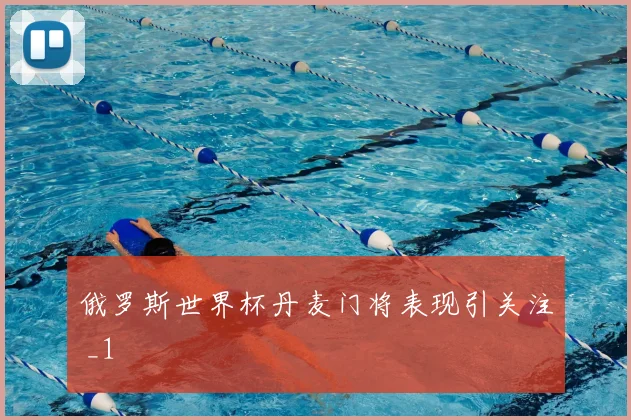 俄罗斯世界杯丹麦门将表现引关注 _1